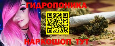 шишки Нальчик