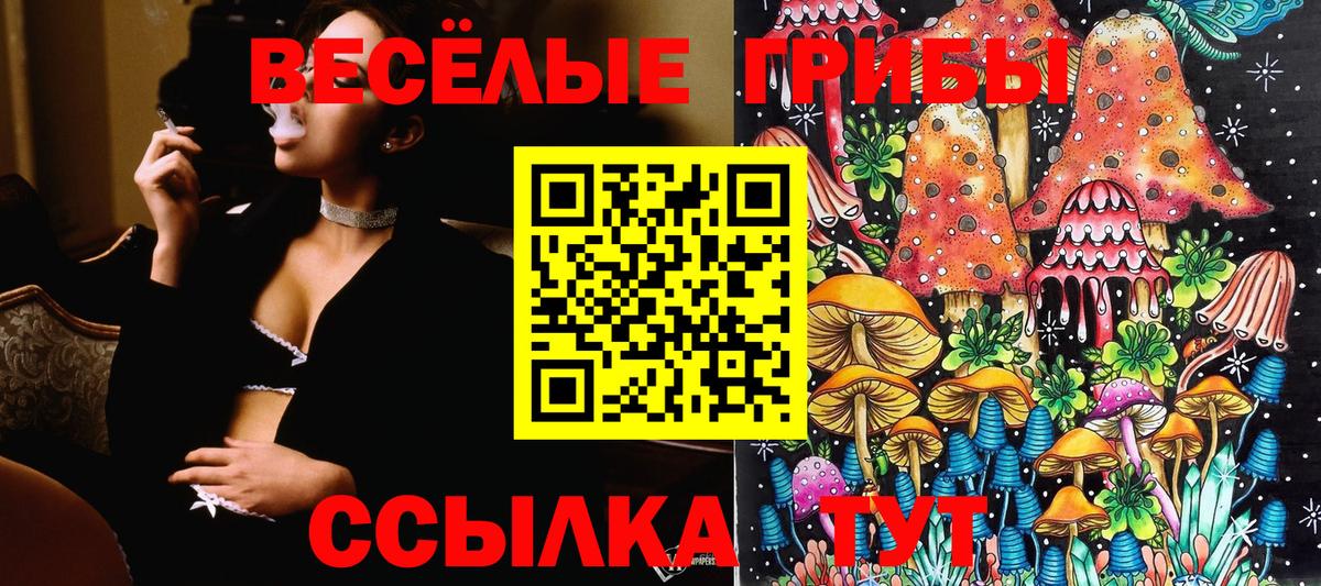 Галлюциногенные грибы Magic Shrooms  Вход с VPN  Стрежевой 