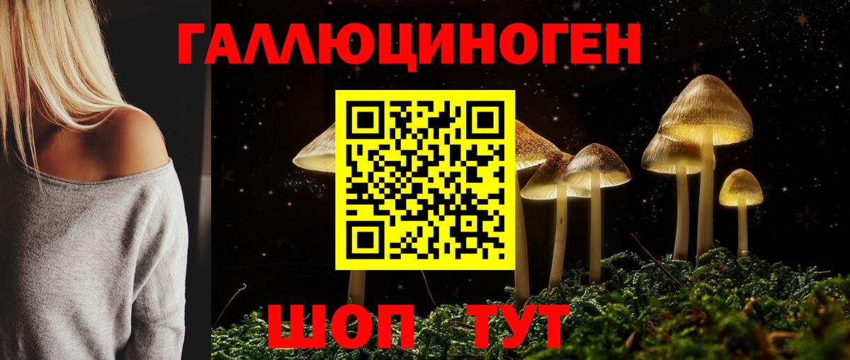 Галлюциногенные грибы Psilocybine cubensis Стрежевой